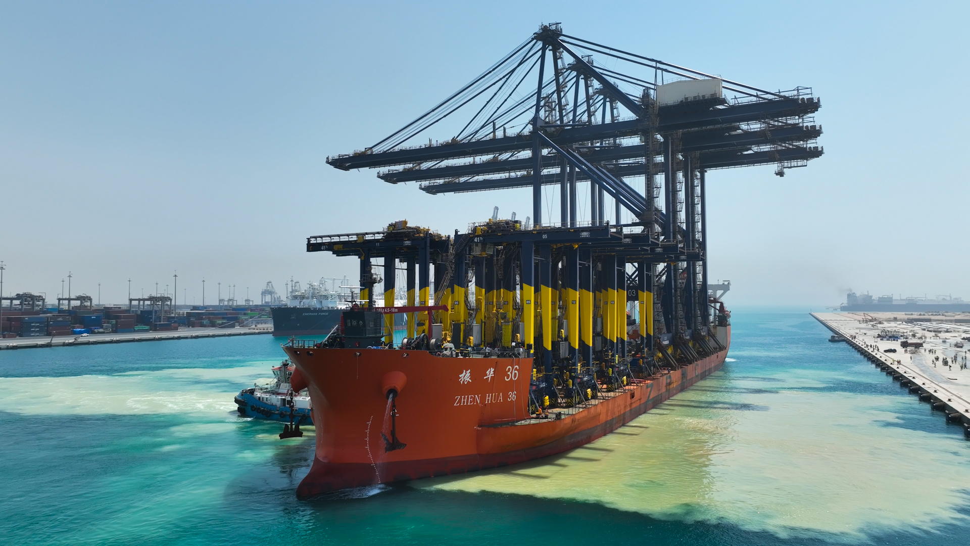 Cranes arrival photo 10